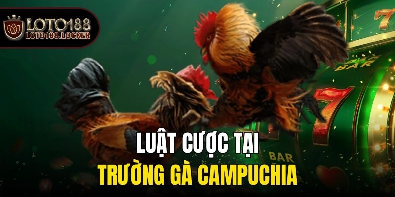 Luật cược đá gà cơ bản