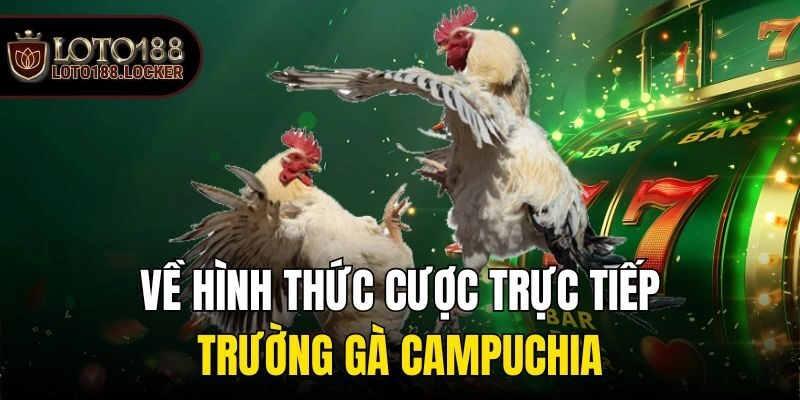 Về hình thức cược trực tiếp trường gà Campuchia
